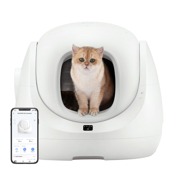 CATLINK | Smart, Self Cleaning Cat Litter Box - Scooper SE