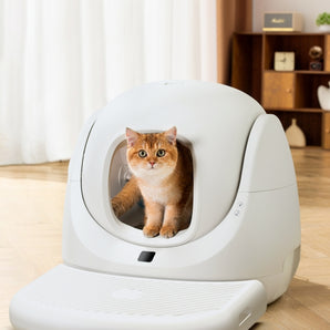 CATLINK Smart Litter Box - Scooper SE Lite Ramp Set