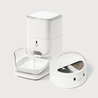 Simplify your pet's mealtime with the CATLINK Feeder Set. 