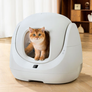 CATLINK Smart Litter Box - Scooper SE Lite Double Set