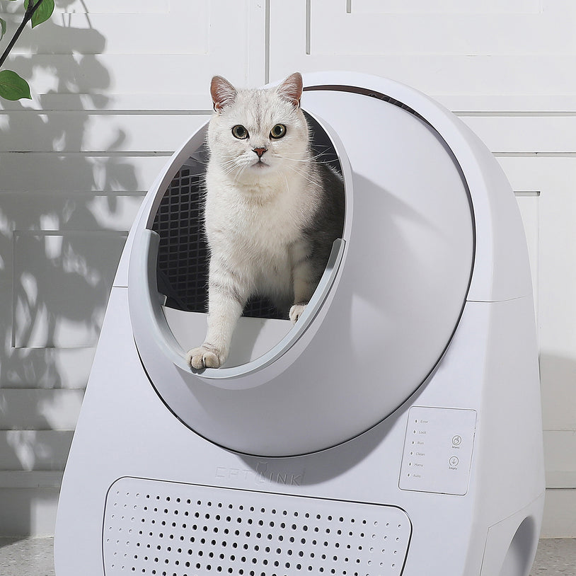 Catlink Self Cleaning Litter Box - Scooper Young Pro-x